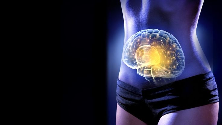 Por que o intestino é considerado nosso segundo cérebro?