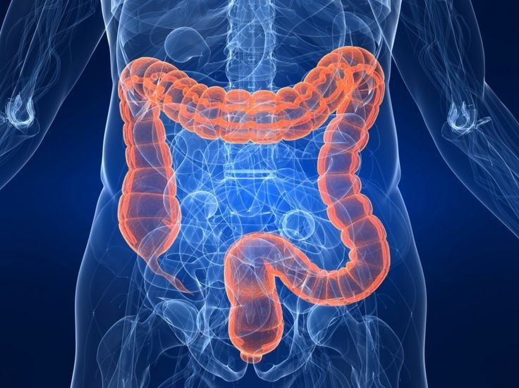 Teste de Microbiota Intestinal e Coprológico Funcional (Intestinal Completo)