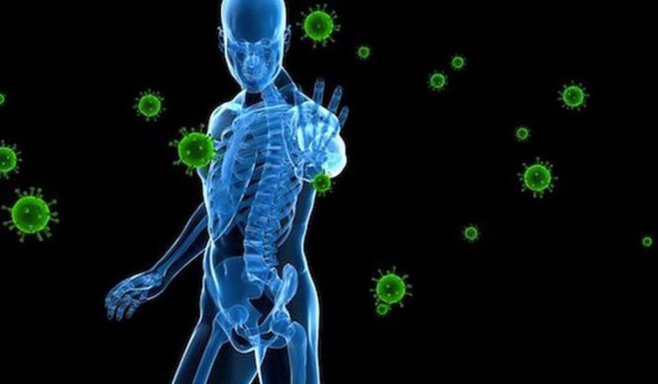 Nutrição e Imunidade – O Papel dos Alimentos na Proteção do Organismo Introdução